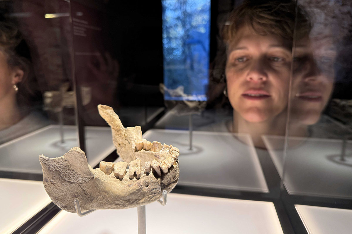 Soporte expositivo de Proasur para la mandíbula de Banyoles, fósil humano clave de Europa en el Museo Arqueológico de Banyoles