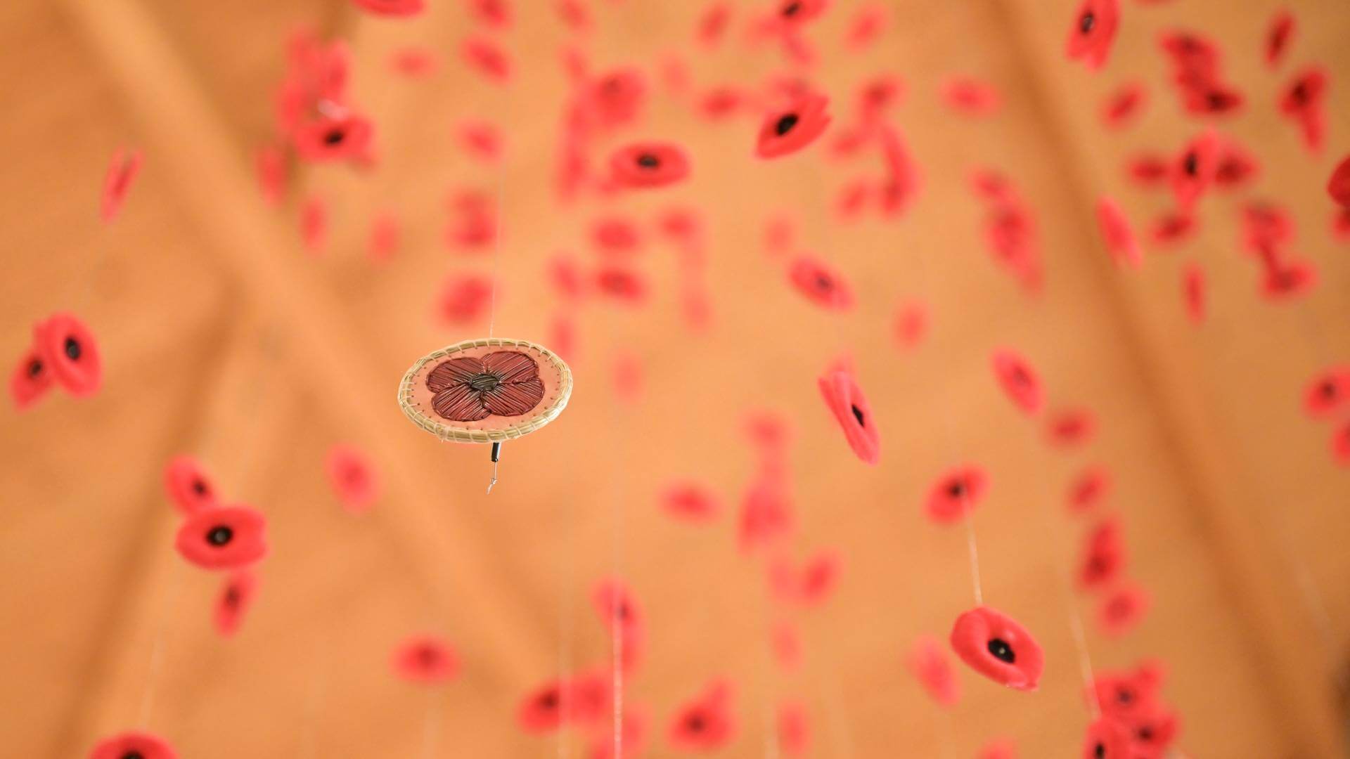 Instalación de amapolas suspendidas, elemento singular desarrollado por Proasur para el Juno Beach Centre