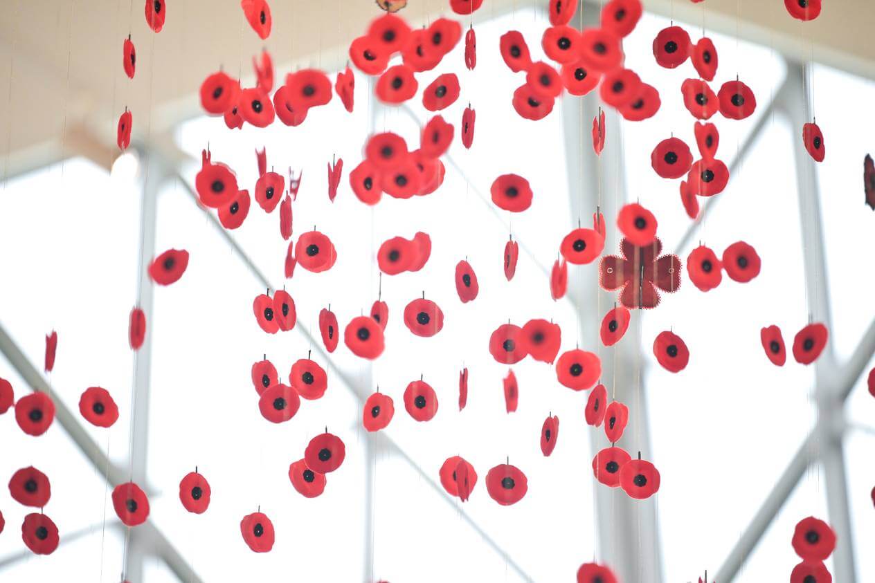 Sala Faces of Canada Today del Juno Beach Centre con la instalación de amapolas suspendidas del techo
